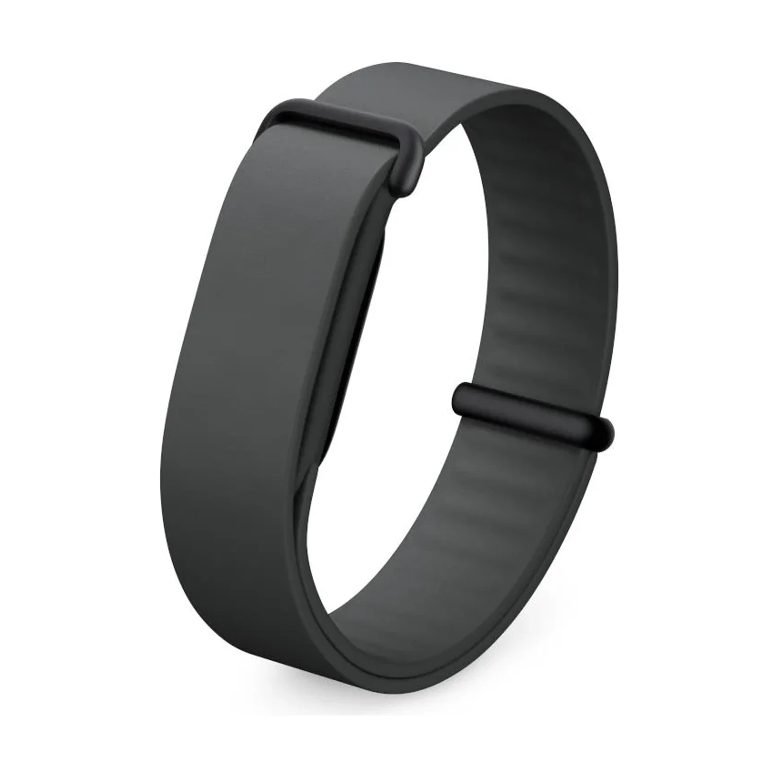 Fitbit Air